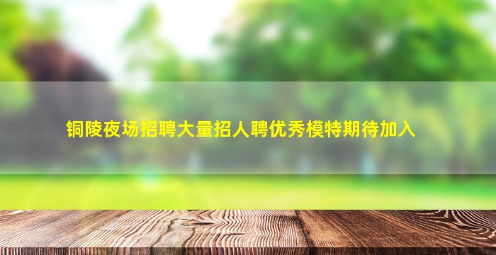 铜陵夜场招聘大量招人聘优秀模特期待加入